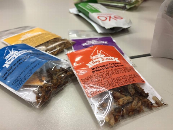 Edible Insects<br />Photo: Chris Lepre