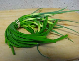 Garlic Scapes